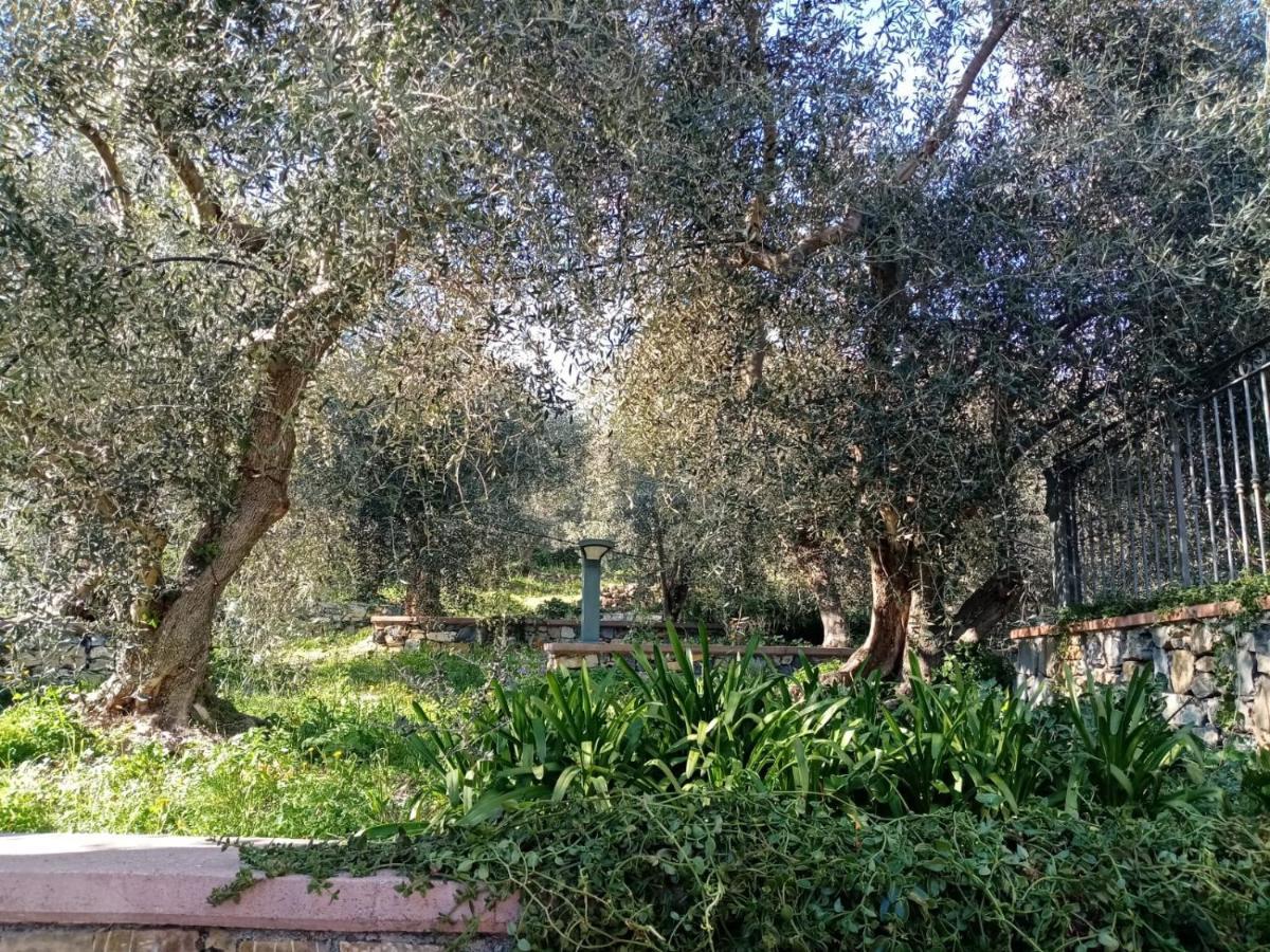 Agrisport Ca Di Cuni Διαμέρισμα Roncagli Εξωτερικό φωτογραφία