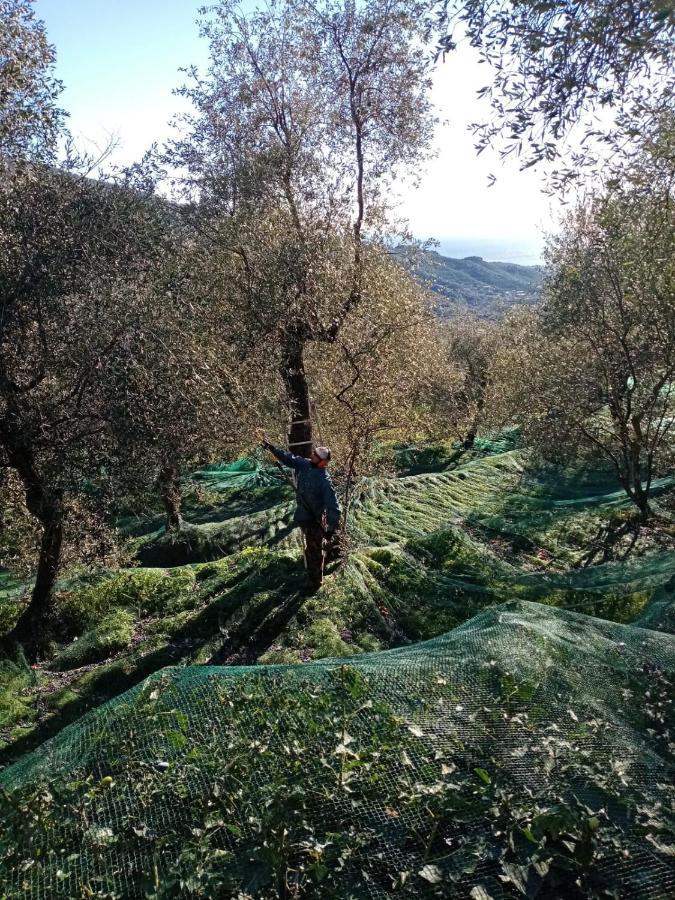 Agrisport Ca Di Cuni Διαμέρισμα Roncagli Εξωτερικό φωτογραφία